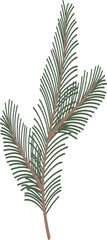 Green spruce branch