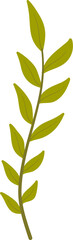 Botanical leaf