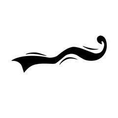 calligraphic swoosh tail