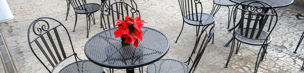 Wrought iron black patio chairs and tables decorated for Christmas with traditional red poinsettia plants, weathered and cracked cement floor
