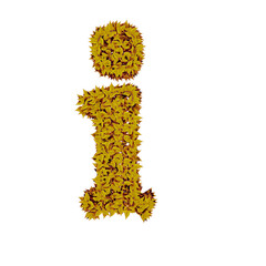 Symbol from yellow leaves. letter i