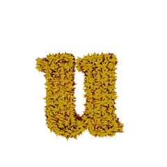 Symbol from yellow leaves. letter u