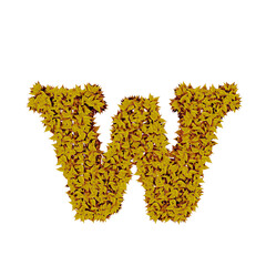 Symbol from yellow leaves. letter w