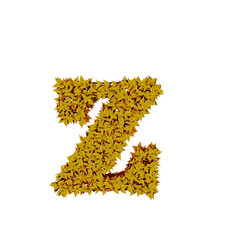 Symbol from yellow leaves. letter z