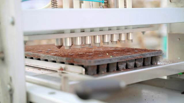 Seed planting machine putting seeds in soil automatically, automatic sowing nursery hole tray seeder 