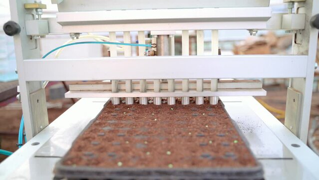 Seed planting machine putting seeds in soil automatically, automatic sowing nursery hole tray seeder 