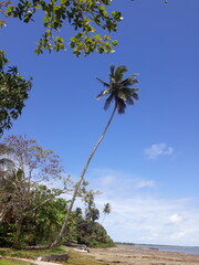 Natureza linda
