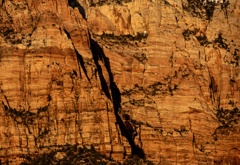 Golden Cliffs of Zion Rock Walls at Sunset