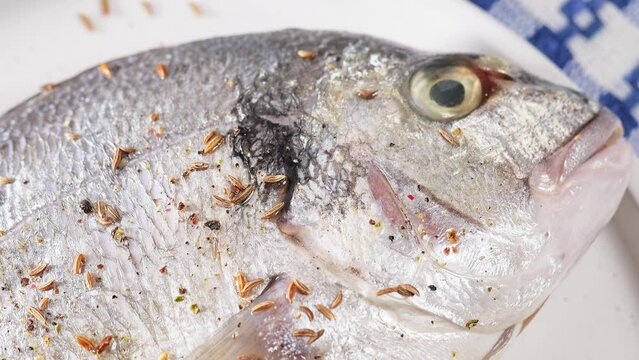 Fresh dorado sea bass white full fish stuffed with lemon, black pepper and cumin. Close-up