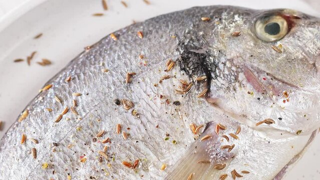 Fresh dorado sea bass white full fish stuffed with lemon, black pepper and cumin. Close-up