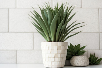 A potted Yucca next to a white brick wall. Houseplant on white table closeup. Generative AI