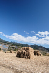 青空が広がる柳ヶ平散策路展望台