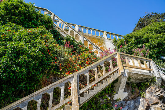 Concrete stairs with surrounding garden at the former Alcatraz Penitentiary in San Francisco, California.