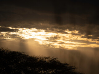 The beauty of Masai Mara