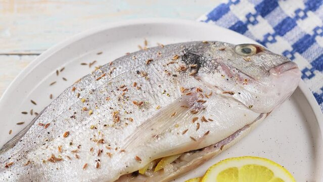 Fresh raw dorado and lemon slices on table. Tilt down camera movement