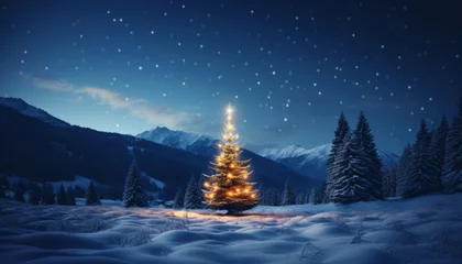 Papier Peint photo Lavable Blue nuit The illuminated Christmas tree in a winter landscape at blue hour