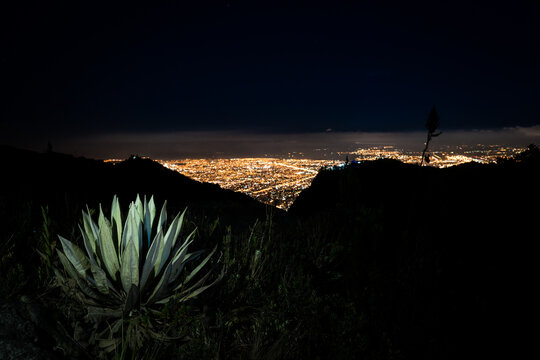 bogota