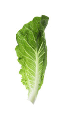 Fresh leaf of green romaine lettuce isolated on white