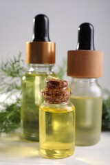 Obraz na płótnie Canvas Bottles of essential oil and fresh dill on light table, closeup