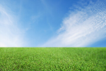 Fototapeta na wymiar Green grass under bright blue sky with clouds