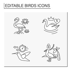  Birds line icons set. Different types of birds symbolize. Swan, flamingos, seagull and hummingbird. Nature concept. Isolated vector illustrations. Editable stroke
