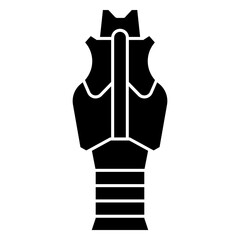 Windpipe, anatomy, neck, organ, trachea