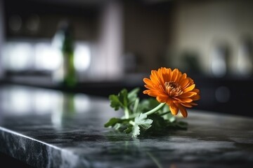 Naklejka na ściany i meble Flower on kitchen worktop. Selective focus. Defocused bar interior. Bokeh. Generative AI