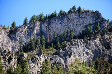 granite mountains with evergreen trees, utah