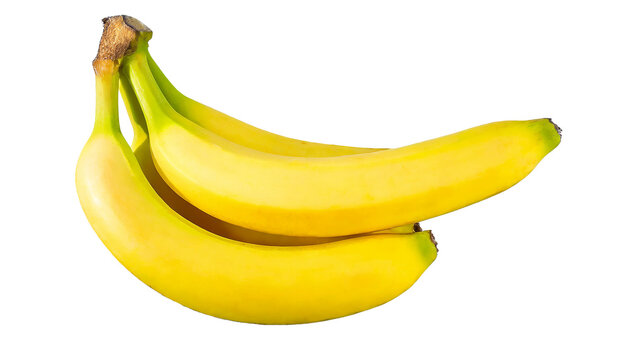 Bananas isolated on a transparent background, organic produce, fruit, yellow bananas
