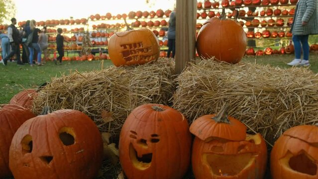 Scary halloween pumpkin on wooden planks. Halloween pumpkin with lantern on wooden. Halloween Pumpkin. pumpkins on a pumpkin patch farm autumn fall festival. High quality 4k footage