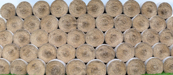 Stack of hay balls, haystack or  haycock on an agricultural field. Large rolls of straw on a farm. © Stefan