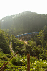 Broken trees on the foreground, aerial image, train passing Nine Arch Bridge