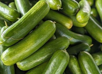 fresh cucumbers at the farmer's market 