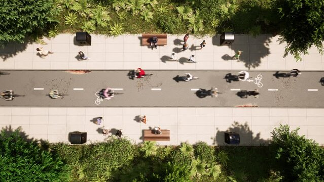 Bicycles with bicyclists moving on a bicycle road inside a forest with pedestrians walking and talking at the side, top view 3D animation. Green transportation ways.
