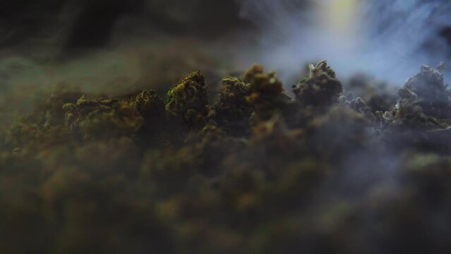 A bunch of cbd and thc marijuana buds recorded from up close as the smoke drifts by. Legal weed alternative medicine.
