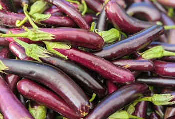 fresh eggplants in the farmer's market