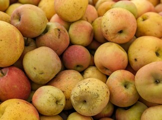 closeup of organic apples in a market