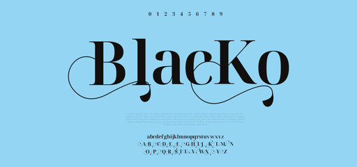 Elegant awesome alphabet letters font and number. unique serif font. Classic Lettering Minimal Fashion Designs. Typography modern serif fonts regular decorative vintage concept. vector illustration  © alfred