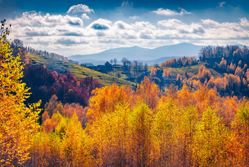 Vivid colors landscape. Amazing autumn view of Carpathian mountains, Ukraine, Europe. Sunny morning...