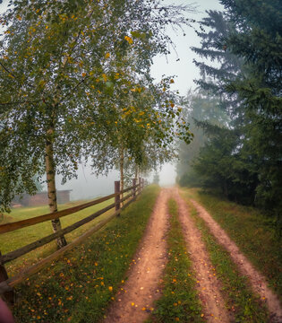 Foggy autumn scene of mountain willage with old country road. Calm morning view of Carpathian Mountains, Ukraine, Europe. Beauty of countryside concept background..