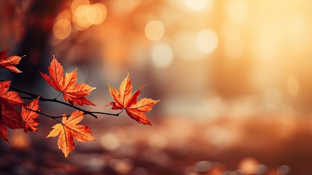 autumn leaves background, , artwork graphic design illustration.