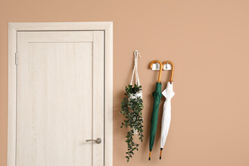 Umbrellas and houseplant hanging on color wall near door