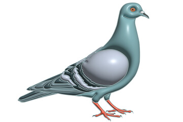 pigeon