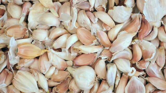 close up pf garlic on white background,