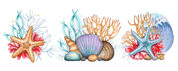 Hand drawn sea compositions ith shells, pebbles, corals, algae. Watercolor