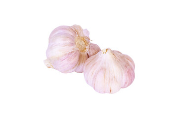 Garlic bulb two isolated on cut out PNG. Set with clipping path. It is Thai herbal plant and type of spice vegetable family. It is often added to many types of food. Purple garlic bulb collection