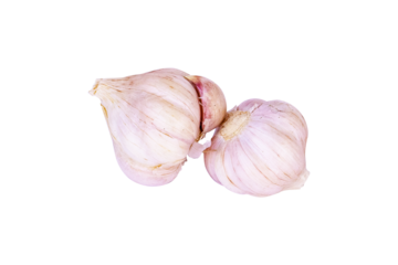 Garlic bulb isolated on cut out PNG. Set with clipping path. It is Thai herbal plant and a type of spice vegetable family. It is often added to many types of food. Purple garlic bulb collection.