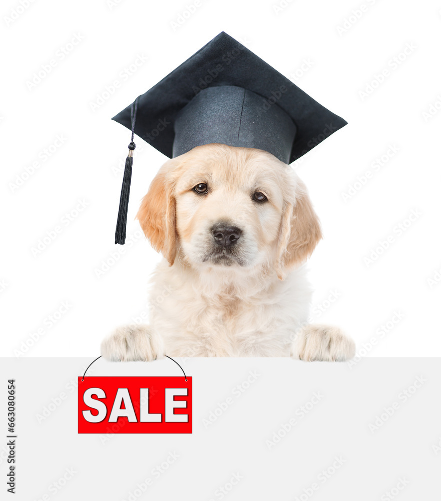 Poster smart graduated golden retriever puppy holds signboard with labeled 