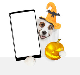 Jack russell terrier puppy celebrating halloween in ghost costume holds glowing pumpkin and showing big smartphone with white blank screen in it paw. Isolated on white background