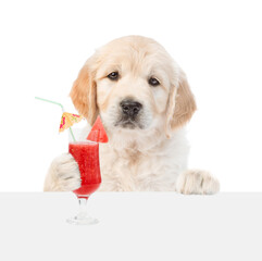 Funny Golden Retriver puppy holds tropic cocktail  above white banner. isolated on white background